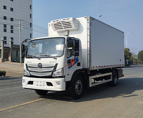 وحدة واحدة من شاحنة التبريد FOTON تُشحن إلى كوت ديفوار