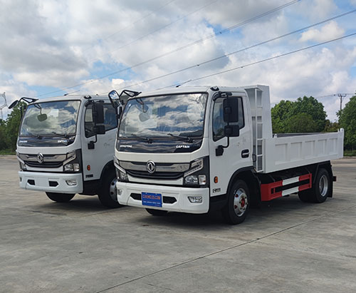 يتم شحن وحدتين من شاحنة قلابة DONGFENG 5ton/8ton إلى أروبا